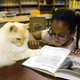 Illustration for article titled Caturday - Library Cat Edition